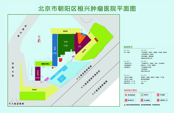 全网操逼网站北京市朝阳区桓兴肿瘤医院平面图